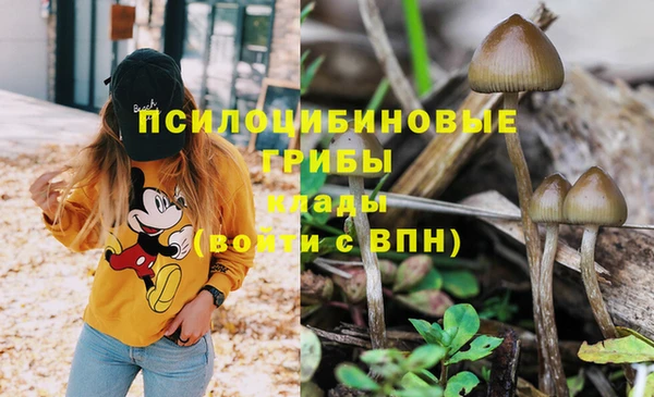 СК Бородино