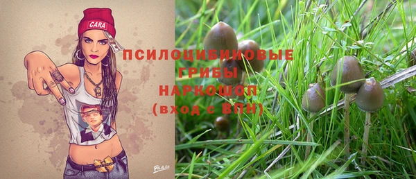 метадон Богданович