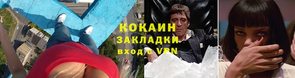 дживик Бронницы