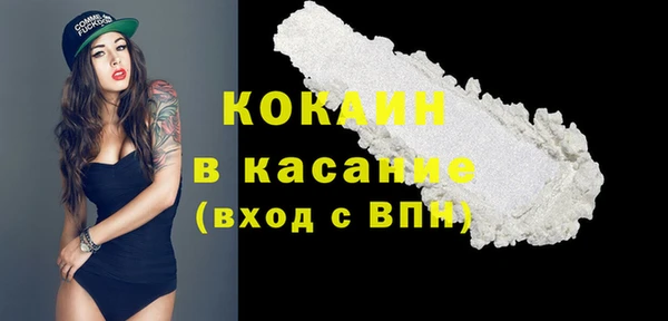 дживик Бронницы