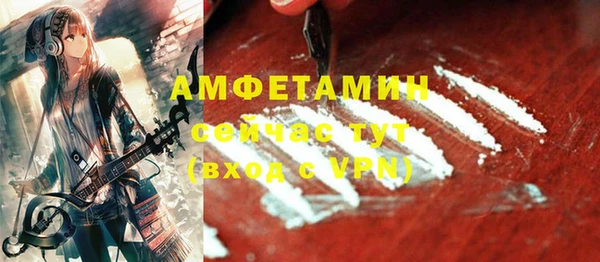 метадон Богданович